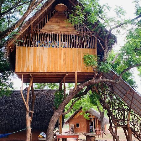 Yala Village Eco Tree House Tissamaharama Exterior photo
