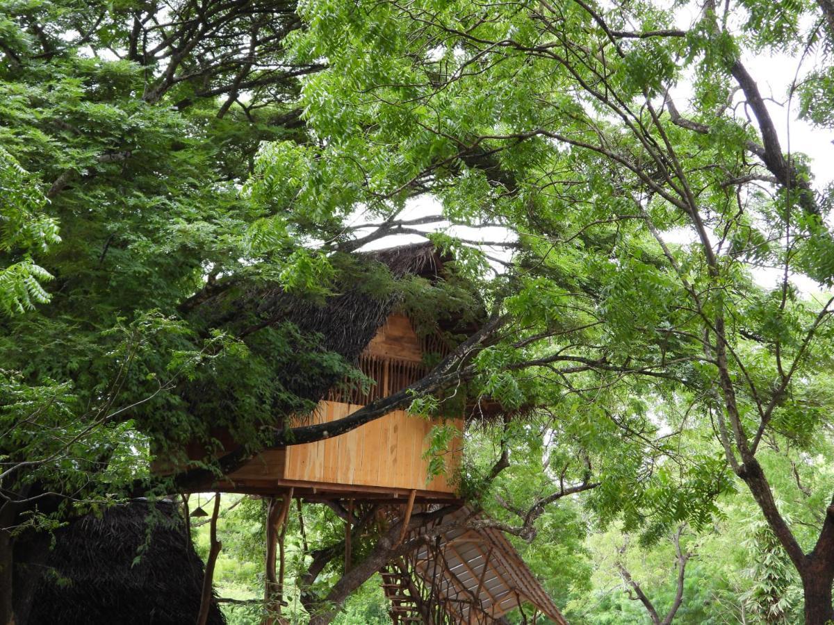 Yala Village Eco Tree House Tissamaharama Exterior photo