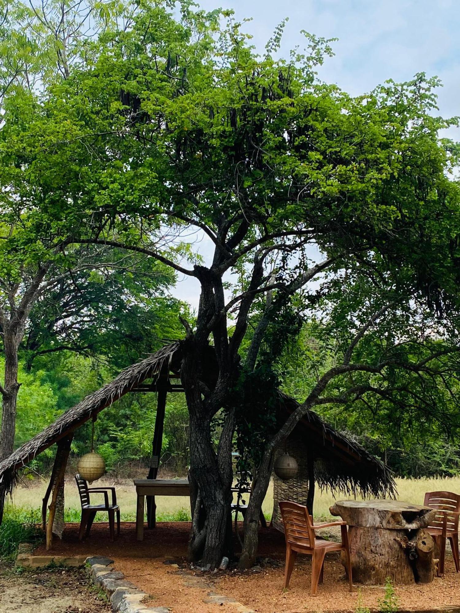 Yala Village Eco Tree House Tissamaharama Exterior photo