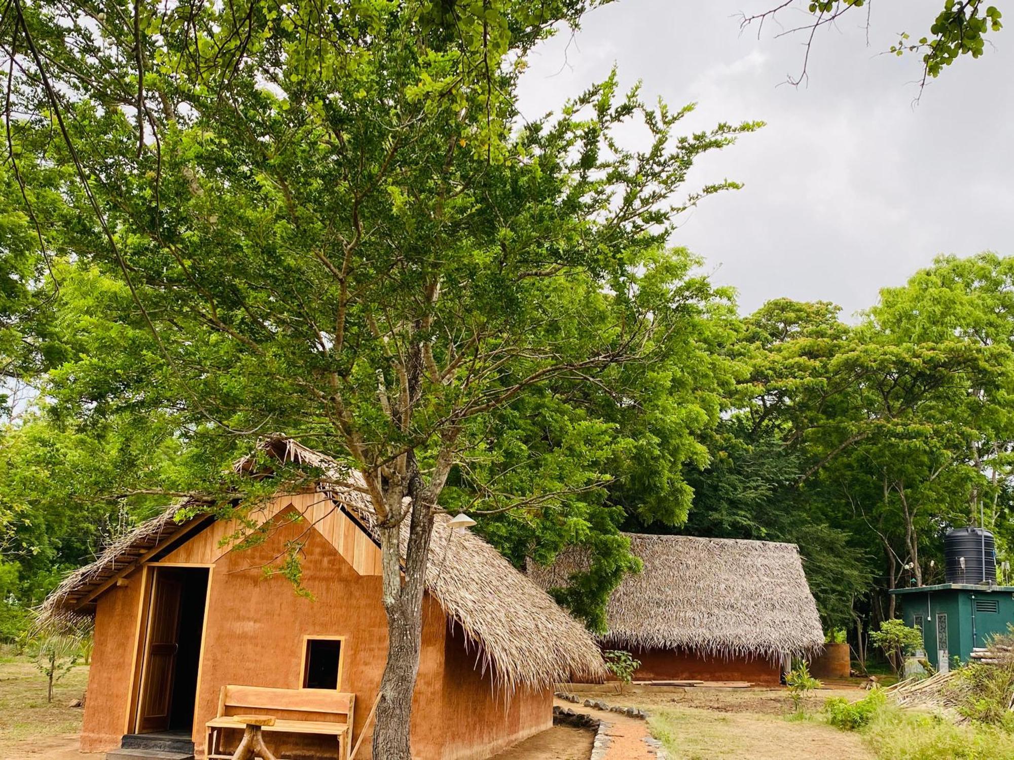 Yala Village Eco Tree House Tissamaharama Exterior photo